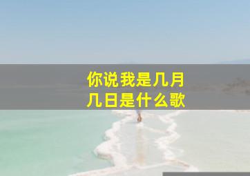 你说我是几月几日是什么歌