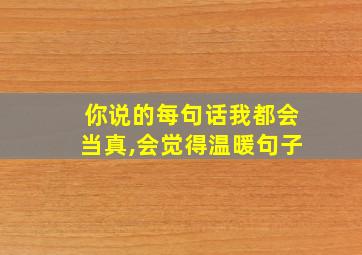 你说的每句话我都会当真,会觉得温暖句子