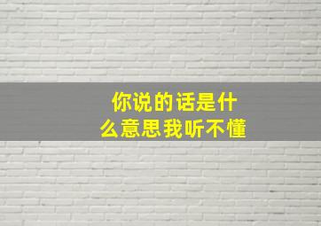 你说的话是什么意思我听不懂