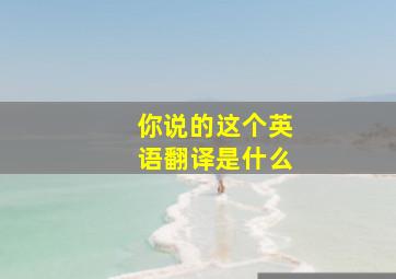 你说的这个英语翻译是什么