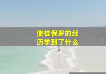 使徒保罗的经历学到了什么