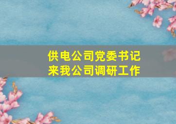 供电公司党委书记来我公司调研工作