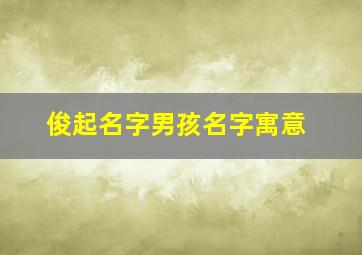 俊起名字男孩名字寓意