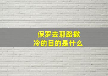 保罗去耶路撒冷的目的是什么