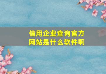 信用企业查询官方网站是什么软件啊