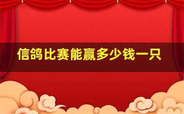 信鸽比赛能赢多少钱一只