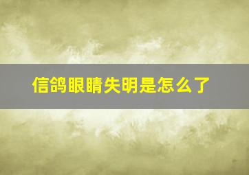 信鸽眼睛失明是怎么了