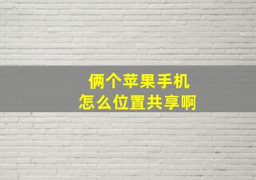 俩个苹果手机怎么位置共享啊