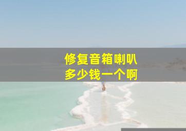 修复音箱喇叭多少钱一个啊