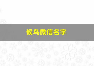 候鸟微信名字