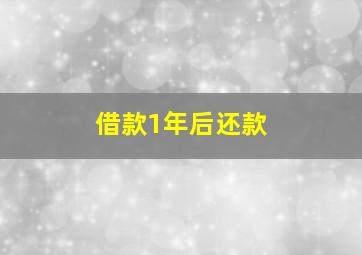 借款1年后还款