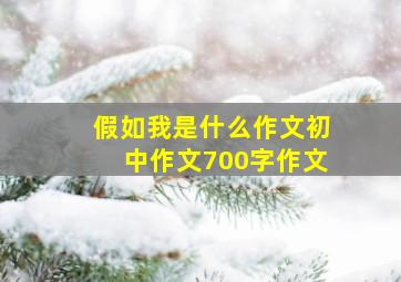 假如我是什么作文初中作文700字作文