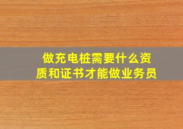 做充电桩需要什么资质和证书才能做业务员