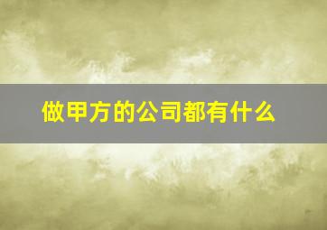 做甲方的公司都有什么