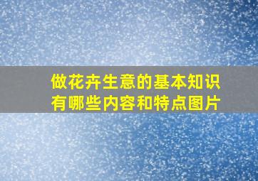 做花卉生意的基本知识有哪些内容和特点图片