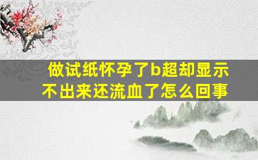 做试纸怀孕了b超却显示不出来还流血了怎么回事