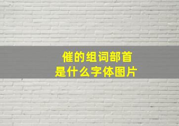 催的组词部首是什么字体图片