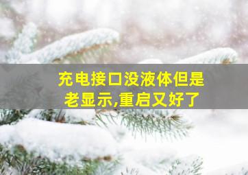 充电接口没液体但是老显示,重启又好了