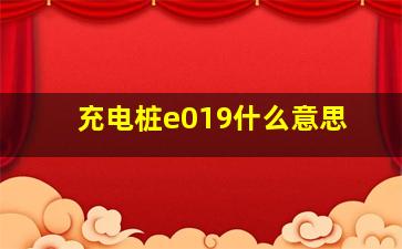 充电桩e019什么意思