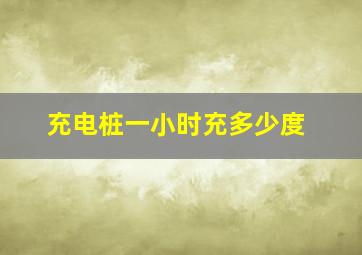 充电桩一小时充多少度