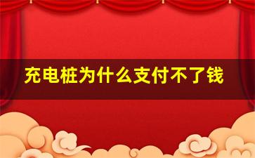 充电桩为什么支付不了钱