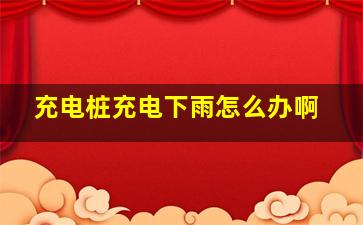 充电桩充电下雨怎么办啊