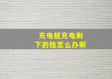 充电桩充电剩下的钱怎么办啊