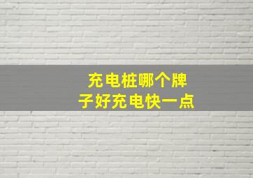 充电桩哪个牌子好充电快一点