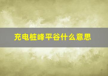 充电桩峰平谷什么意思