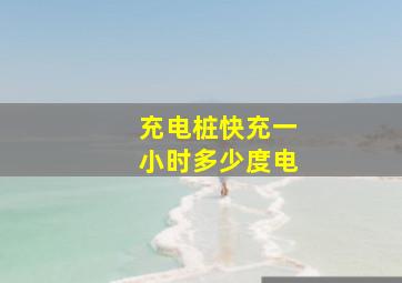 充电桩快充一小时多少度电