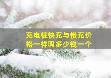 充电桩快充与慢充价格一样吗多少钱一个