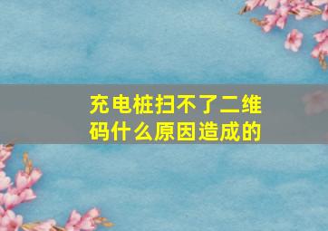 充电桩扫不了二维码什么原因造成的