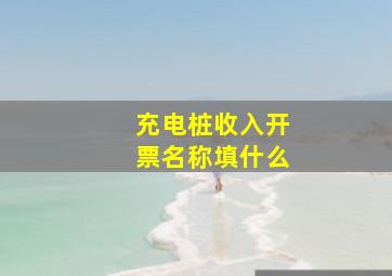 充电桩收入开票名称填什么