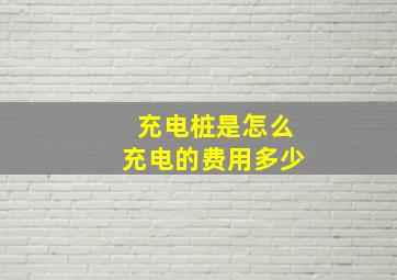 充电桩是怎么充电的费用多少