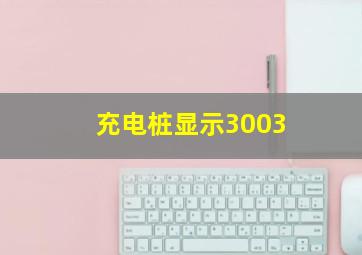 充电桩显示3003