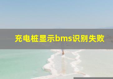 充电桩显示bms识别失败