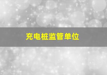 充电桩监管单位