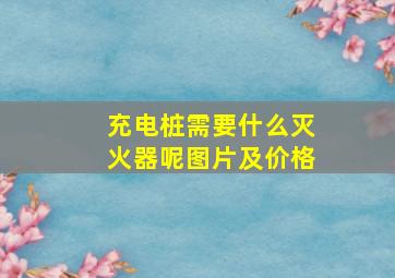 充电桩需要什么灭火器呢图片及价格