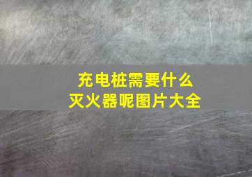 充电桩需要什么灭火器呢图片大全