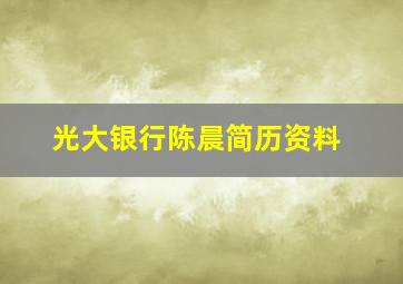 光大银行陈晨简历资料