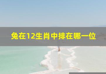 兔在12生肖中排在哪一位