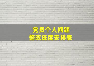 党员个人问题整改进度安排表