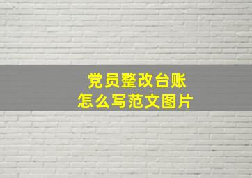 党员整改台账怎么写范文图片