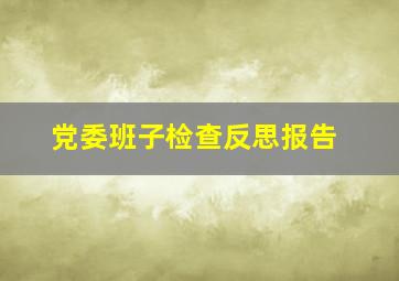 党委班子检查反思报告