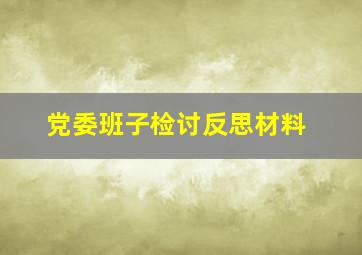 党委班子检讨反思材料