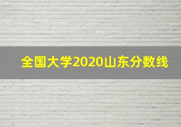 全国大学2020山东分数线