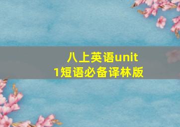 八上英语unit1短语必备译林版