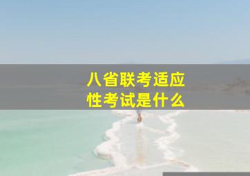 八省联考适应性考试是什么