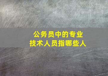 公务员中的专业技术人员指哪些人