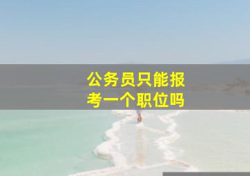 公务员只能报考一个职位吗